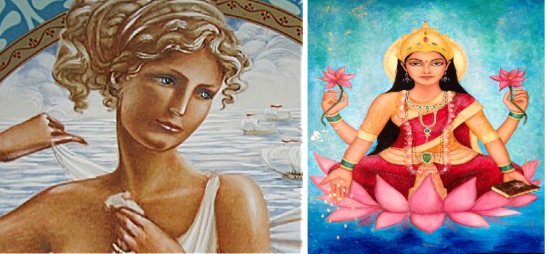 aphrodite-laxmi-1024x477