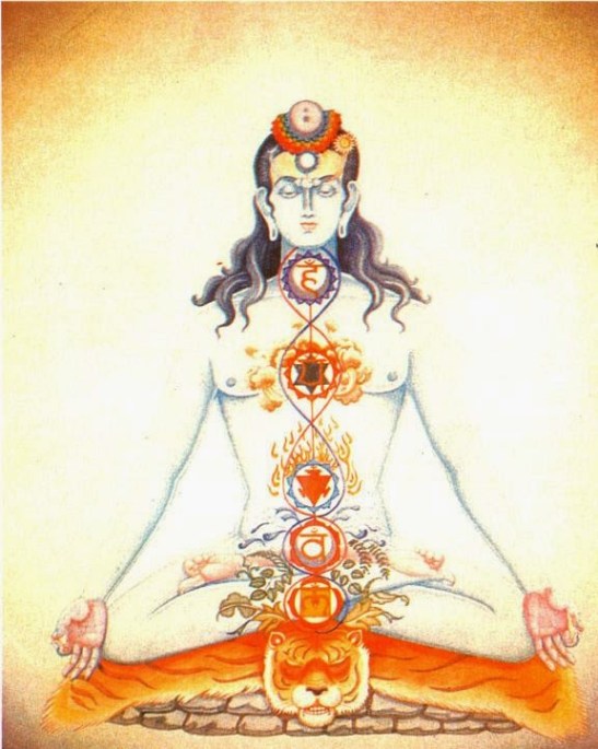 Shiva and Chakra